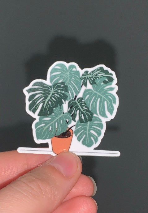 Plant sticker