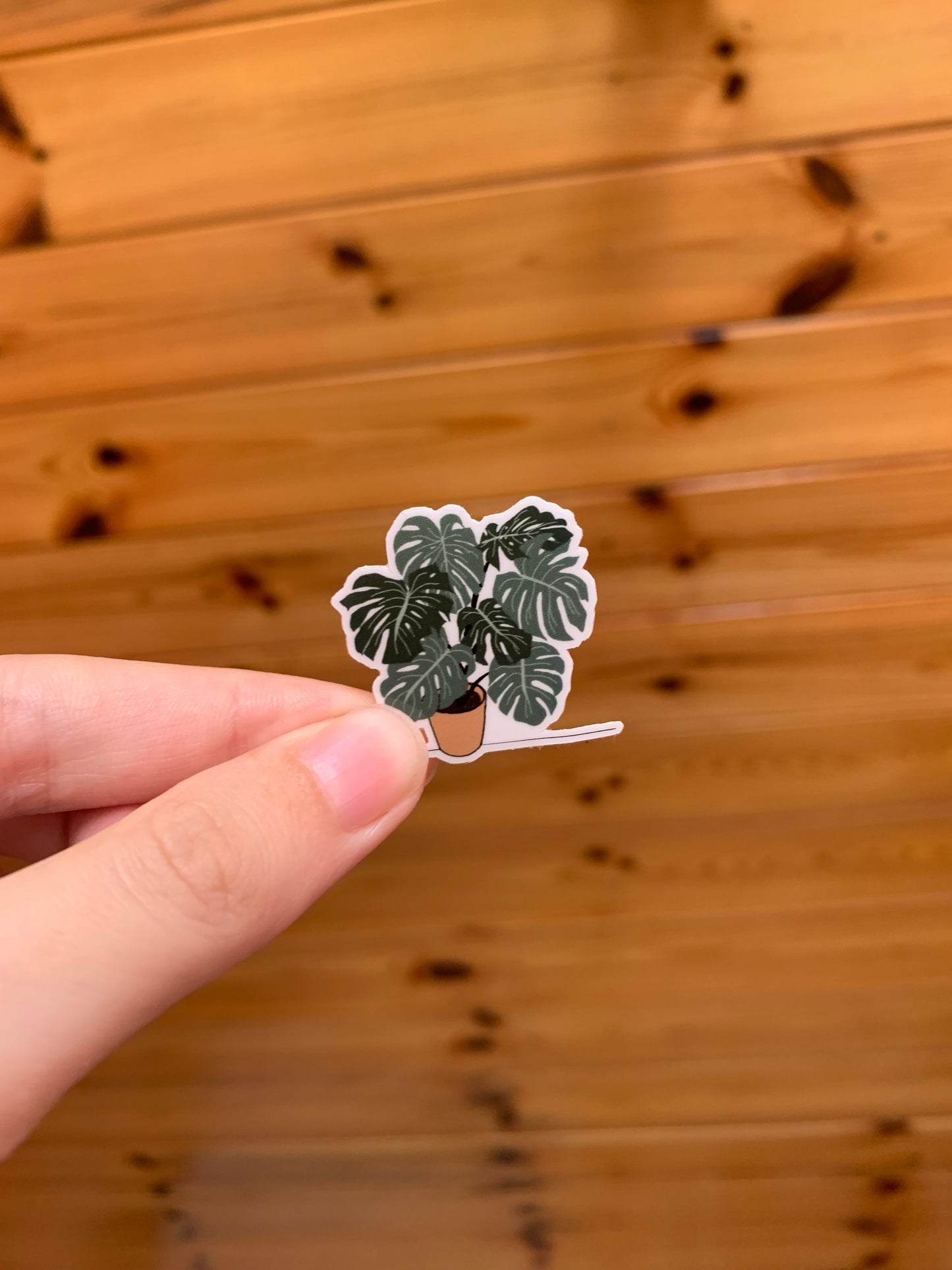 Plant sticker