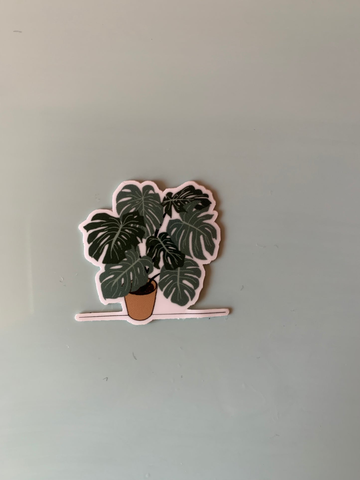 Plant sticker