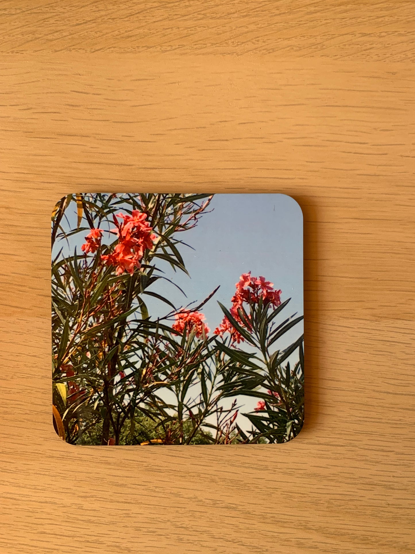 Italian Flowers Coaster