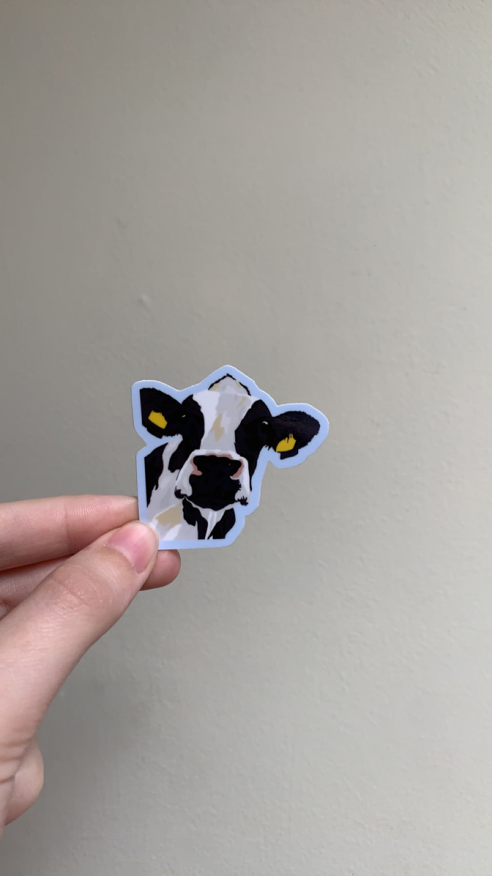 Cow sticker